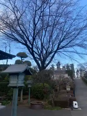 密藏院の{uncategorized: "未分類", other: "その他", undefined: "問題あり", building: "その他建物", grave: "お墓", sacred_gate: "鳥居", guardian: "狛犬", statue: "像", buddha: "仏像", history: "歴史", nature: "自然", garden: "庭園", animal: "動物", pagoda: "塔", temizu: "手水舎", mountain_gate: "山門・神門", sanctuary: "本殿・本堂", subordinate: "末社・摂社", art: "芸術", scenery: "景色", jizo: "地蔵", ema: "絵馬", goshuin: "御朱印", omikuji: "おみくじ", items: "授与品その他", amulet: "お守り", goshuincho: "御朱印帳", eats: "食事", festival: "お祭り", votive_dance: "神楽", shichigosan: "七五三参", wedding: "結婚式", experience: "体験その他", initially: "初詣", around: "周辺", anti_infection: "感染症対策"}