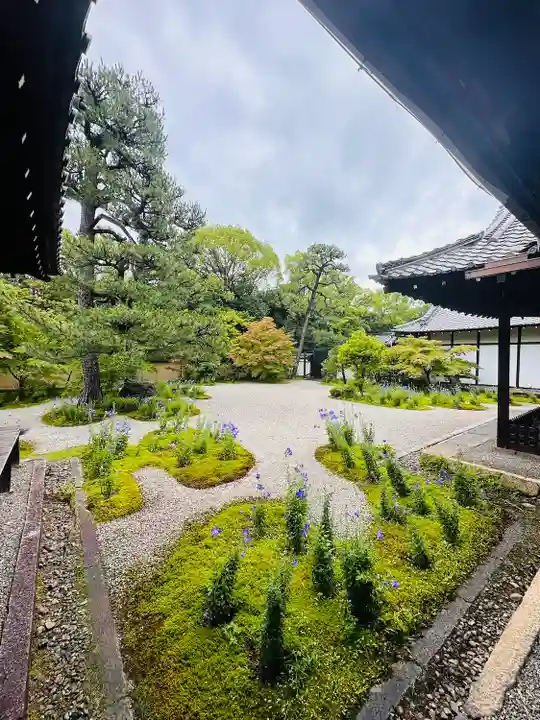 廬山寺(廬山天台講寺)(京都府)