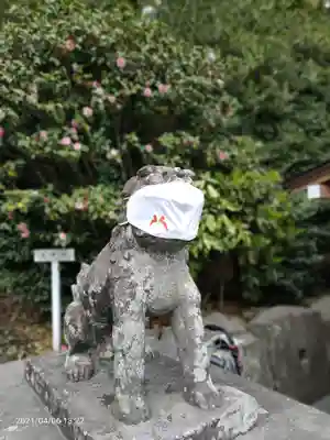 鶴岡八幡宮の狛犬