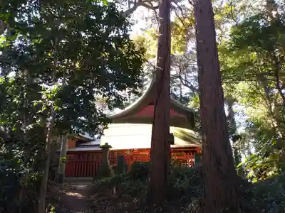 羽黒神社の本殿・本堂