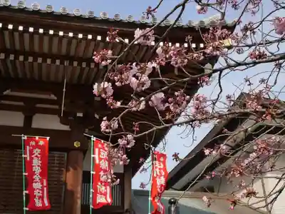 輪王寺両大師堂(寛永寺輪王殿)のその他建物