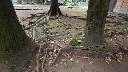 陸奥総社宮(宮城県)