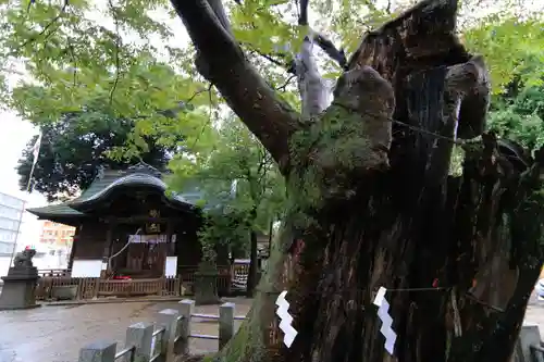 阿邪訶根神社の本殿・本堂