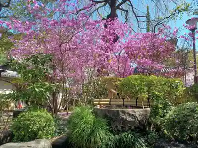 喜多院(埼玉県)