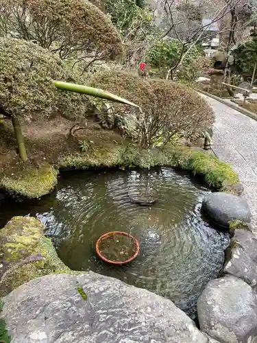 報国寺の庭園