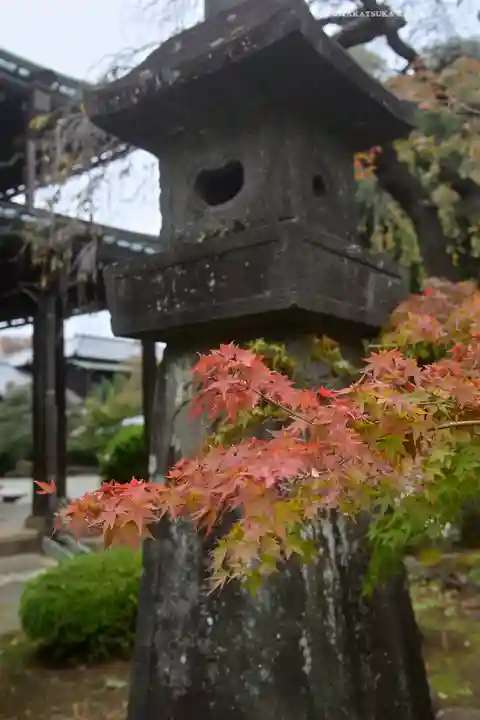 豪徳寺(東京都)