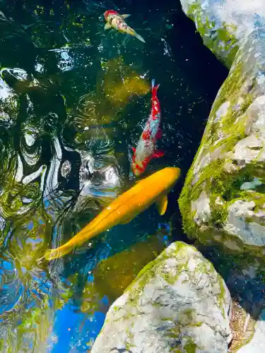 伊勢神宮内宮（皇大神宮）の{uncategorized: "未分類", other: "その他", undefined: "問題あり", building: "その他建物", grave: "お墓", sacred_gate: "鳥居", guardian: "狛犬", statue: "像", buddha: "仏像", history: "歴史", nature: "自然", garden: "庭園", animal: "動物", pagoda: "塔", temizu: "手水舎", mountain_gate: "山門・神門", sanctuary: "本殿・本堂", subordinate: "末社・摂社", art: "芸術", scenery: "景色", jizo: "地蔵", ema: "絵馬", goshuin: "御朱印", omikuji: "おみくじ", items: "授与品その他", amulet: "お守り", goshuincho: "御朱印帳", eats: "食事", festival: "お祭り", votive_dance: "神楽", shichigosan: "七五三参", wedding: "結婚式", experience: "体験その他", initially: "初詣", around: "周辺", anti_infection: "感染症対策"}