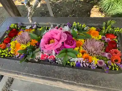 二宮赤城神社(群馬県)