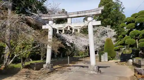 松山神社の鳥居