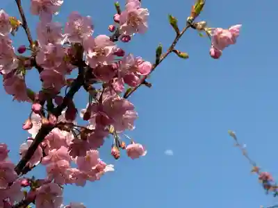 住吉神社の周辺