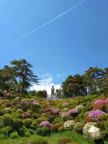 塩船観音寺(東京都)