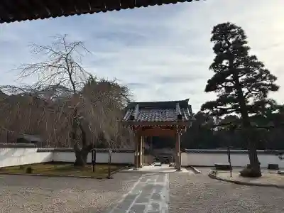 高月院の{uncategorized: "未分類", other: "その他", undefined: "問題あり", building: "その他建物", grave: "お墓", sacred_gate: "鳥居", guardian: "狛犬", statue: "像", buddha: "仏像", history: "歴史", nature: "自然", garden: "庭園", animal: "動物", pagoda: "塔", temizu: "手水舎", mountain_gate: "山門・神門", sanctuary: "本殿・本堂", subordinate: "末社・摂社", art: "芸術", scenery: "景色", jizo: "地蔵", ema: "絵馬", goshuin: "御朱印", omikuji: "おみくじ", items: "授与品その他", amulet: "お守り", goshuincho: "御朱印帳", eats: "食事", festival: "お祭り", votive_dance: "神楽", shichigosan: "七五三参", wedding: "結婚式", experience: "体験その他", initially: "初詣", around: "周辺", anti_infection: "感染症対策"}