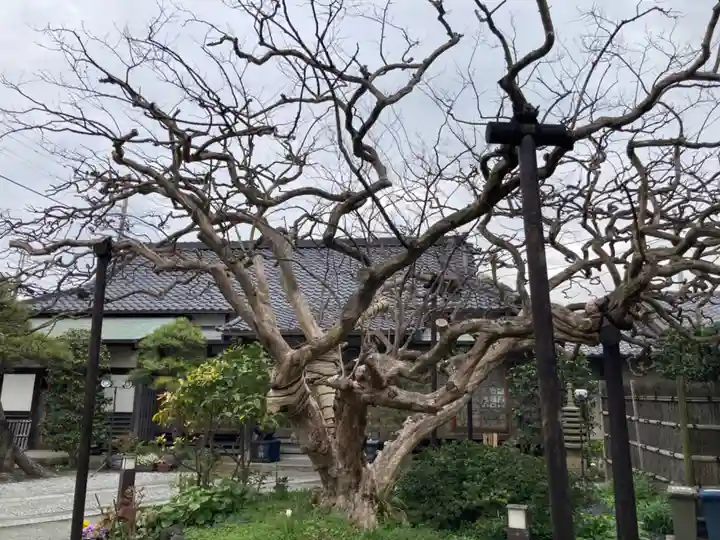 補陀洛寺(神奈川県)