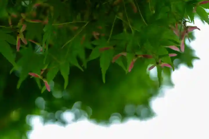 諏訪大社(長野県)