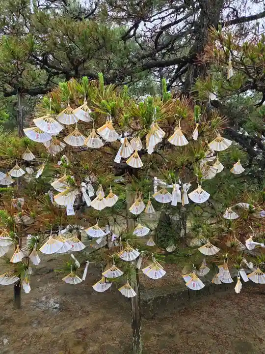 智恩寺(京都府)