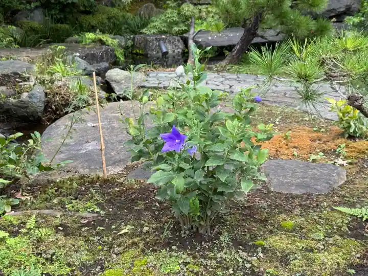 湯島天満宮(東京都)