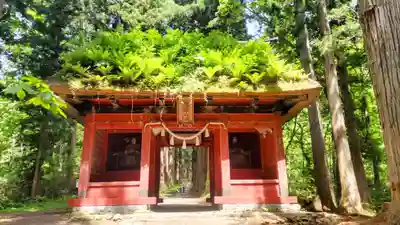 戸隠神社奥社(長野県)