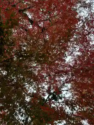 小野神社(東京都)