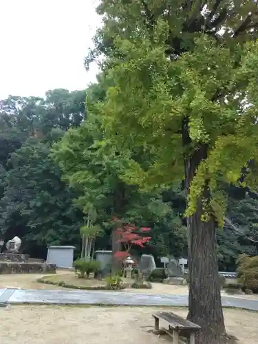 宝厳寺(愛媛県)