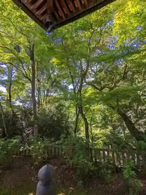 柳谷観音　楊谷寺(京都府)