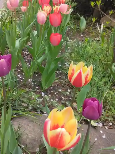 乗蓮寺(東京都)