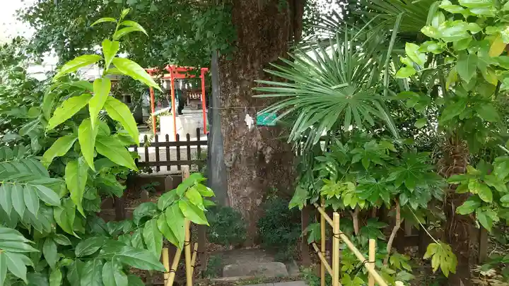 成子天神社(東京都)