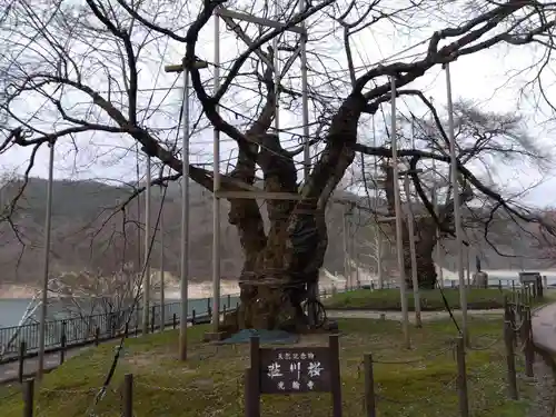 御母衣電源神社(岐阜県)