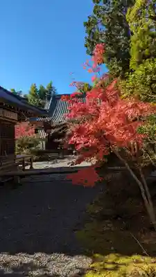 赤山禅院(京都府)