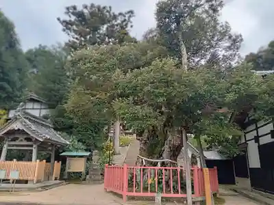 山王宮日吉神社(京都府)