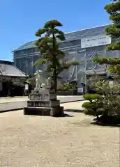 誉田八幡宮(大阪府)