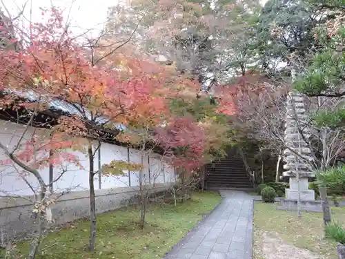 西教寺の御朱印