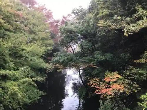 山神社の景色