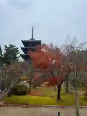 仁和寺(京都府)