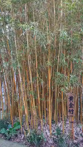 神祇大社の自然