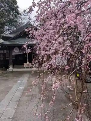 猿田彦神社(東京都)