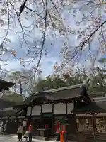河合神社(鴨川合坐小社宅神社)(京都府)