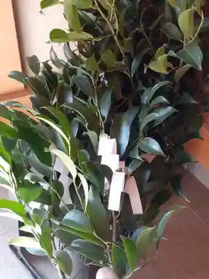 伏木香取神社(茨城県)