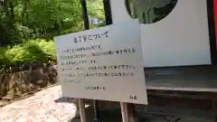 種徳院(栃木県)