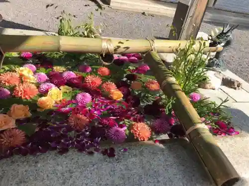 住吉神社の手水