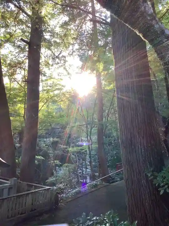 大矢田神社(岐阜県)