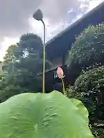 喜多院(埼玉県)