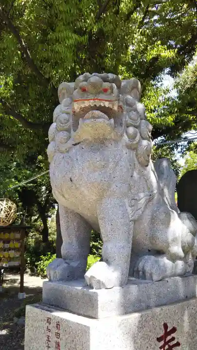 菊田神社の狛犬