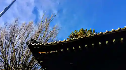 山神社のその他建物