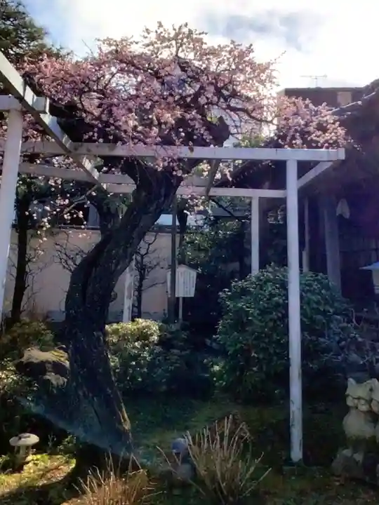 長善寺(東京都)