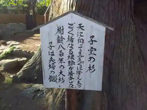 日枝神社の歴史