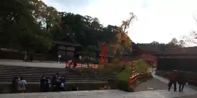 賀茂御祖神社（下鴨神社）(京都府)