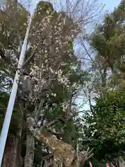 五所神社の建物その他