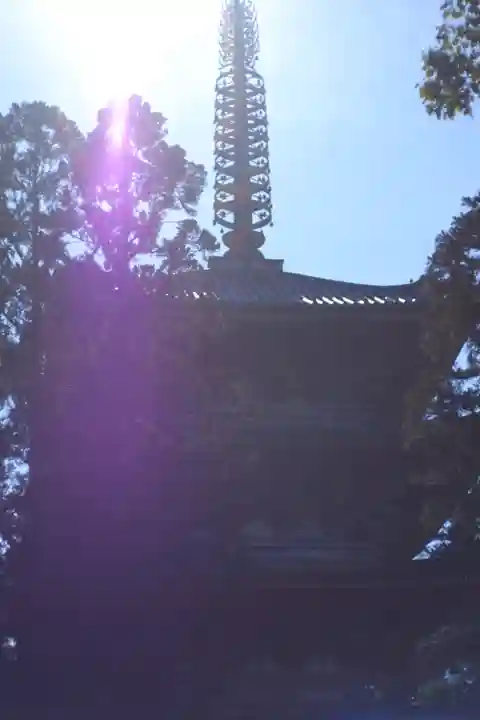 醍醐寺(京都府)