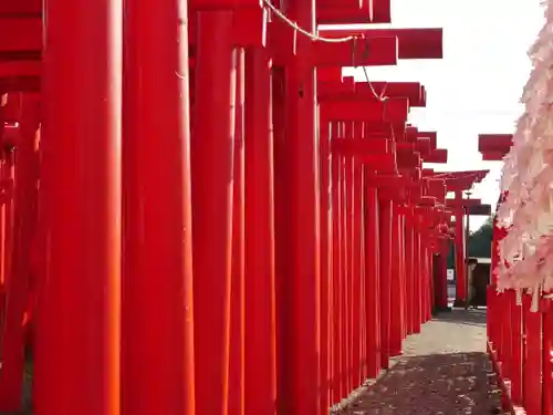 小泉稲荷神社の鳥居