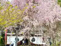 北赤井神社の自然